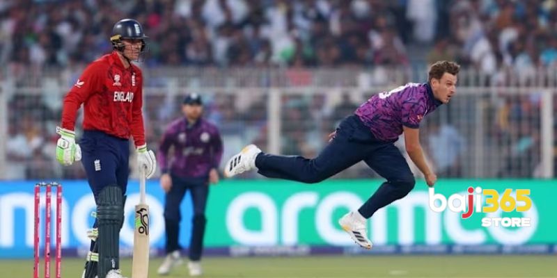 What is Baji365 Betting?